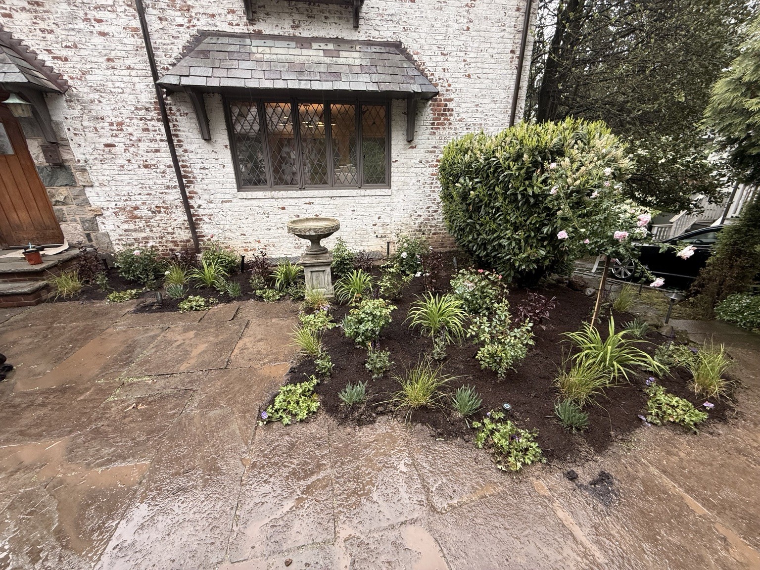 A courtyard garden by Get Down & Garden with roses, layered planting and stone paving beside a white brick home