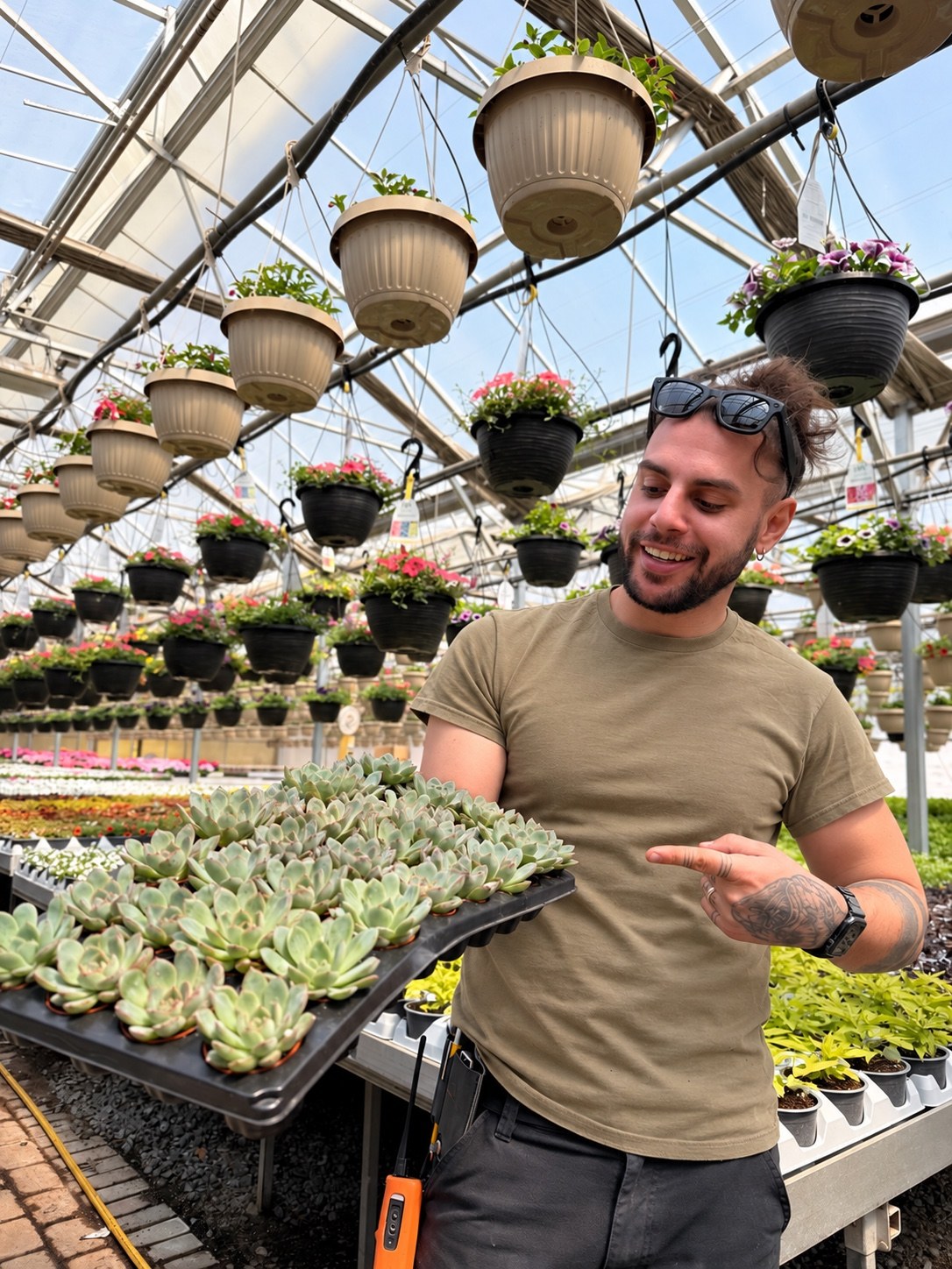 Jay holding a tray of succulents in a greenhouse surrounded by hanging flower baskets